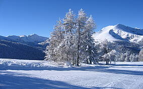 Mittelkärnten Wintergenuss