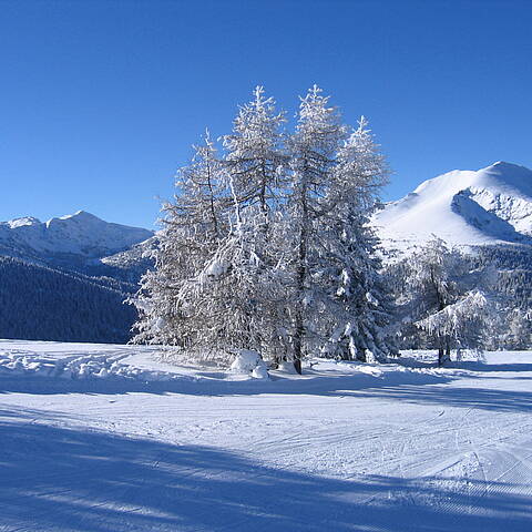 Mittelkärnten Wintergenuss