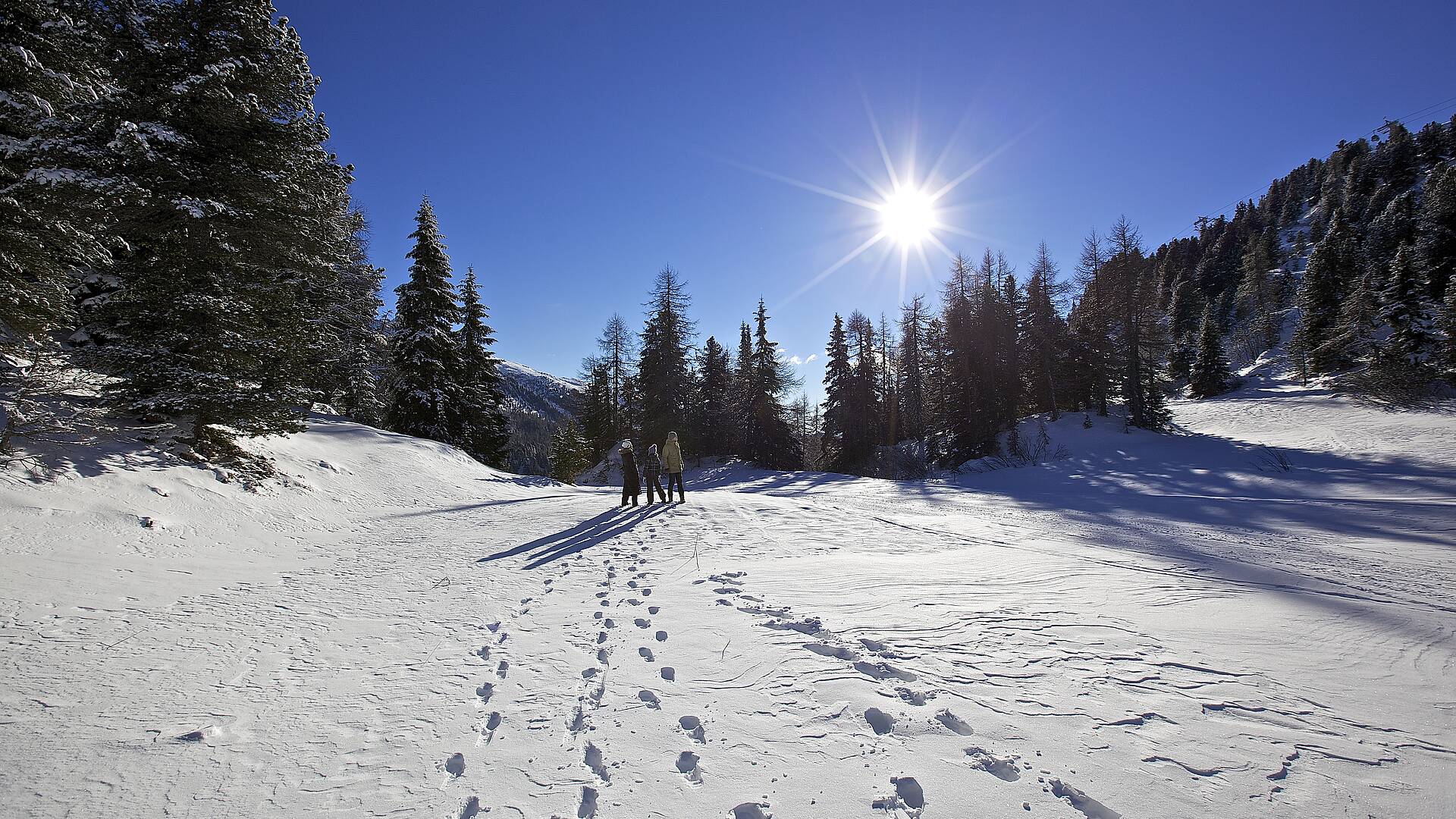 Winterlandschaft Turracher Höhe