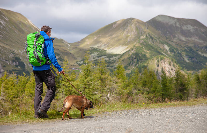 Weitwandern mit Hund in der Region Bad Kleinkirchheim