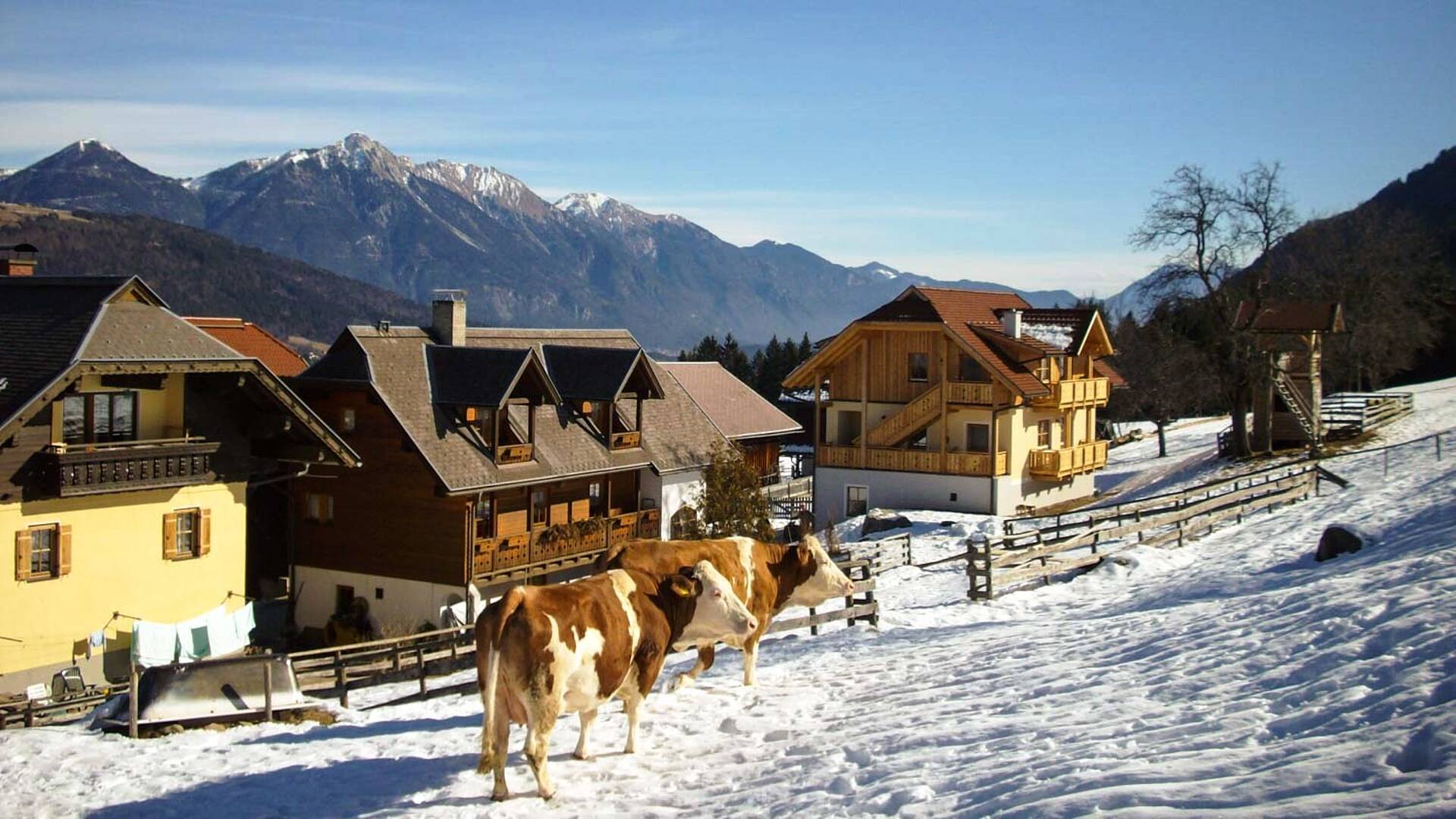 Urlaub am Bauernhof im Winter am Schönauerhof am Nassfeld in Kärnten