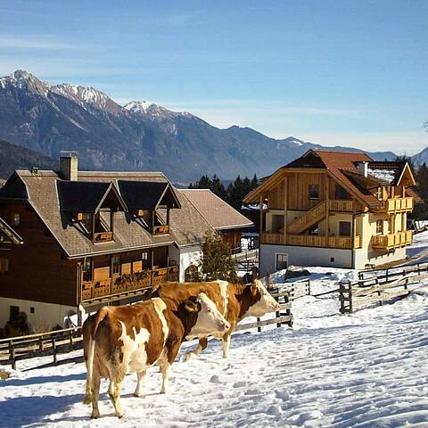 Urlaub am Bauernhof im Winter am Schönauerhof am Nassfeld in Kärnten