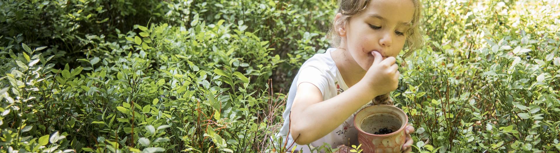 Geschmack der Kindheit - Naturgut Lassen Beeren pflücken