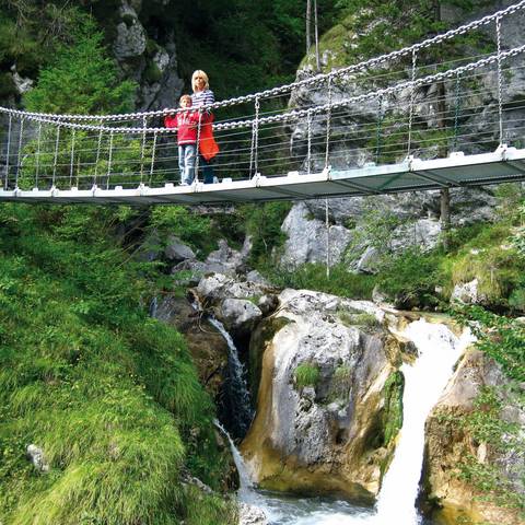 Hängebrücke - Ausflugsziel in Kärnten