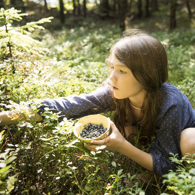 Geschmack der Kindheit - Naturgut Lassen Beeren pflücken