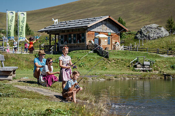 Heidi-Alm am Falkert