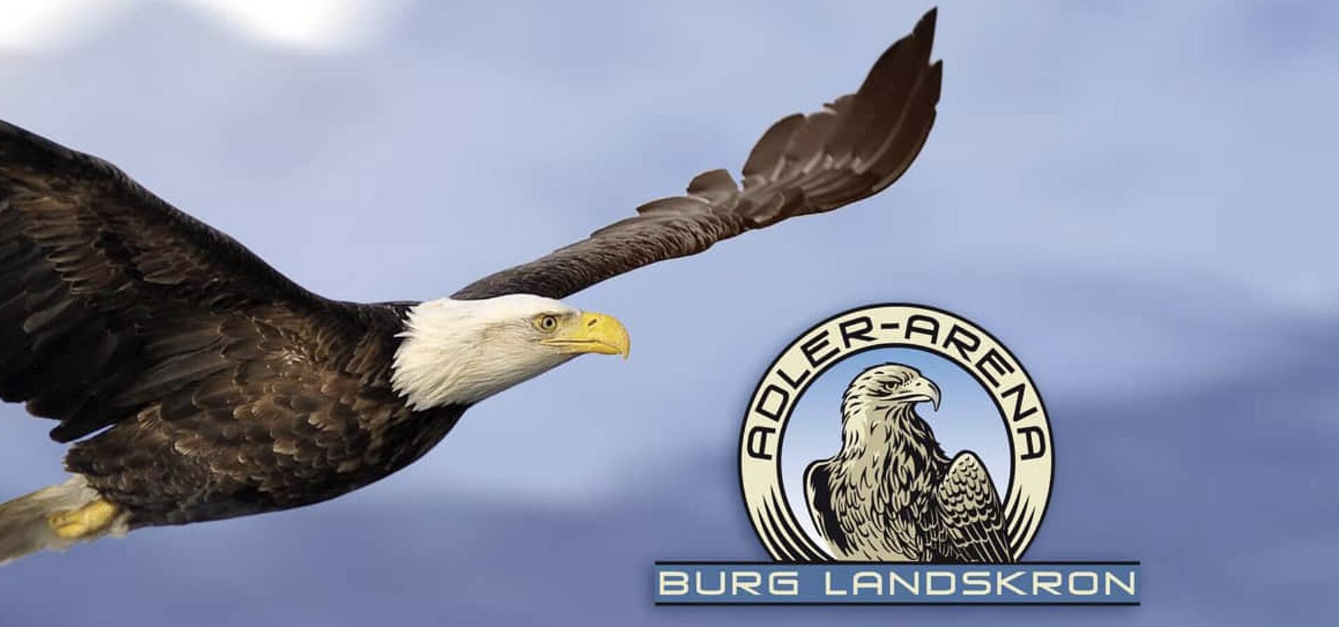 Adler Arena Burg Landskron