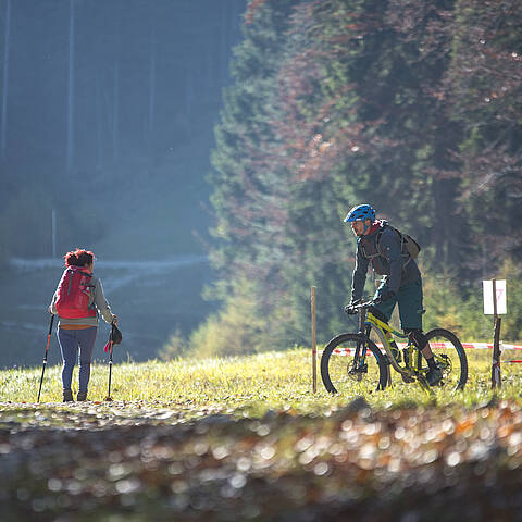 Begegnungen Wandern in der Region Klopeiner See Suedkaernten