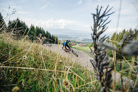 lake.bike