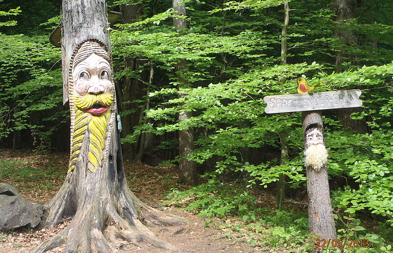 Familienparadies Reichenhauser Zauberwald 