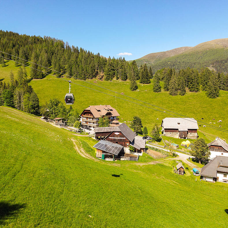 Biobauernhof Hinteregger Bad Kleinkirchheim Sommer