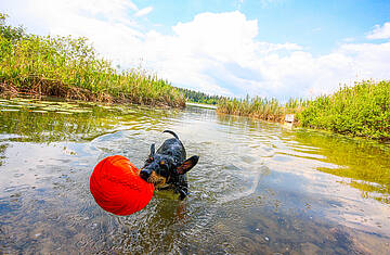 Urlaub mit Kind und Hund © pixelpoint multimedia, Wolfgang Handler