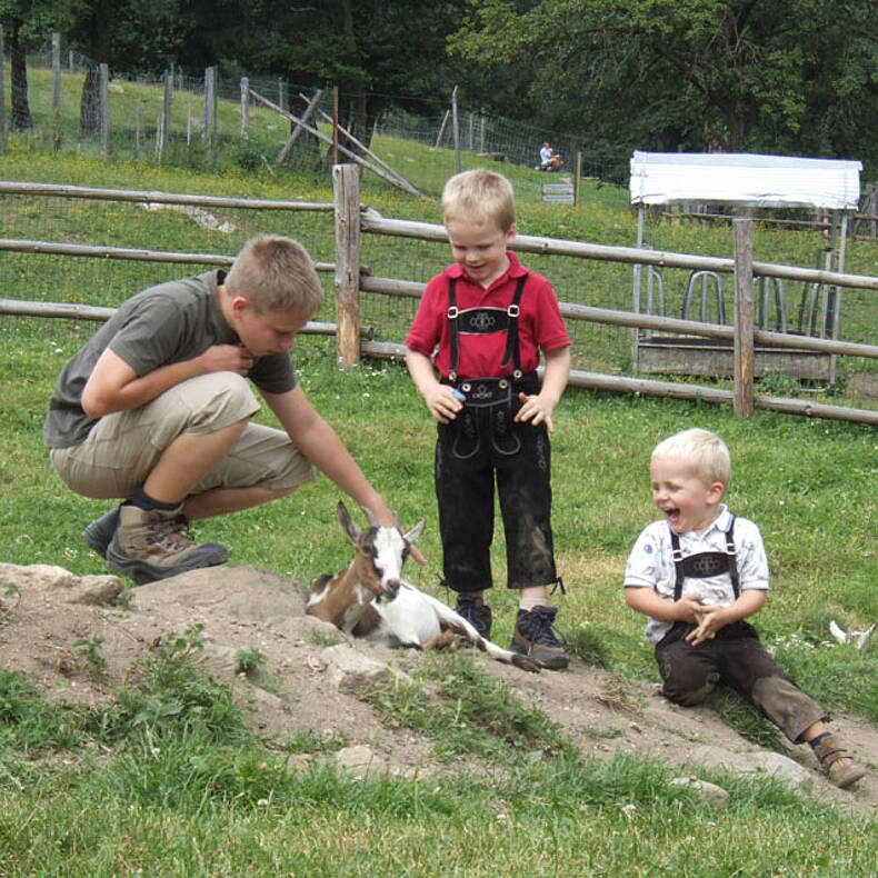 Social Hochalmblick Eisentratten