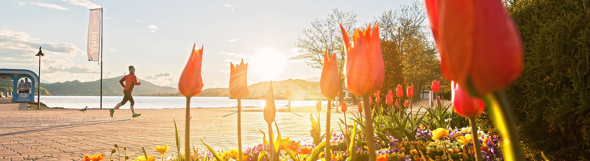 Fruehling am Woerthersee