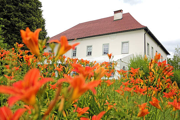 Schloss Finkenstein