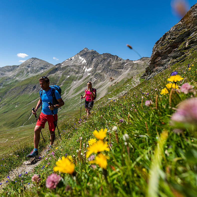 Tauernhoehenweg im Nationalpark Hohe Tauern